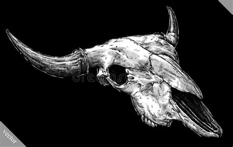 Cow Skull Line Art Stock Illustrations – 524 Cow Skull Line Art Stock Illustrations, Vectors ...