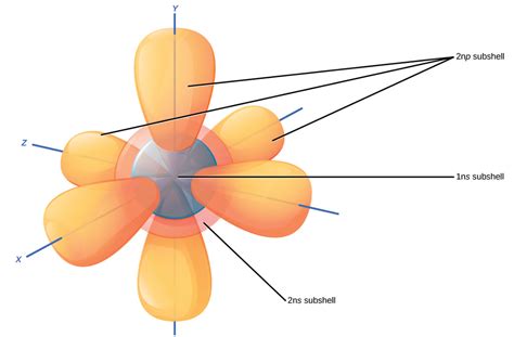 How many p orbitals are there in a neon atom? | Socratic