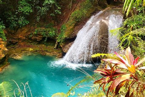 The Best Jamaica Waterfalls In December 2024 (Ultimate Guide)