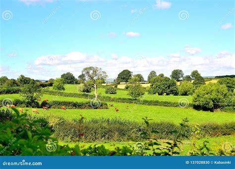 Beautiful English Countryside Landscape in Summer Near Ludlow in England Stock Photo - Image of ...