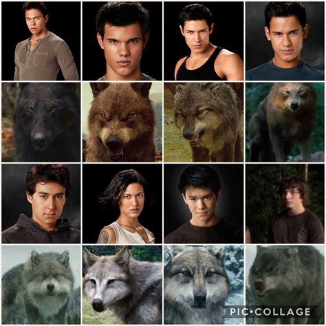 Exploring The Enigmatic Twilight Wolf Pack Names And Pictures: A Journey Into The Mystique