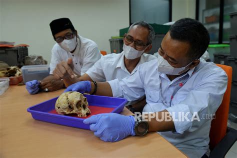 Pameran Fosil Homo Floresiensis | Republika Online