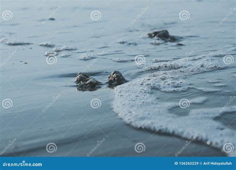 The Small Waves on the Beach Stock Image - Image of rocks, island: 156265229