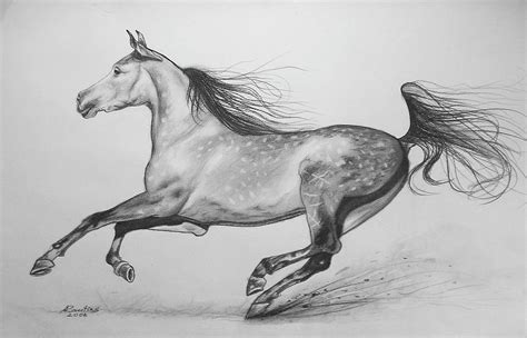 Galloping Horse Sketch