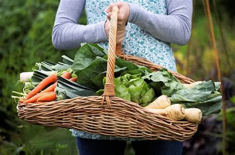 13 Frost Tolerant Vegetables - Fall Vegetables to Plant Now - Mom Foodie