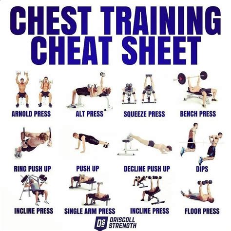 Workout Plan Chest - Chest Workout Plan - Healthy Fitness Core Arm ...