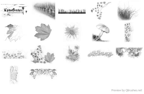 Nature brushes - Photoshop Brushes