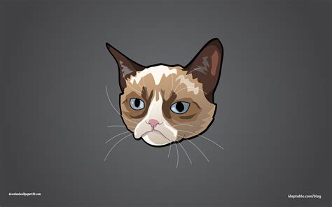 Grumpy Cat Wallpapers HD (61+ images)