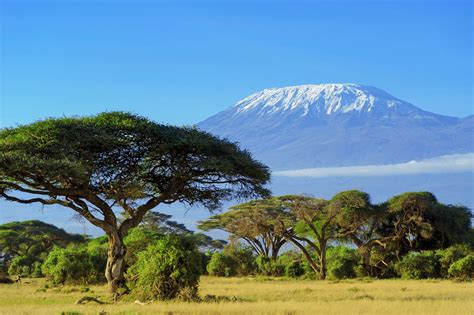 Kilimanjaro National Park – Crown Eagle