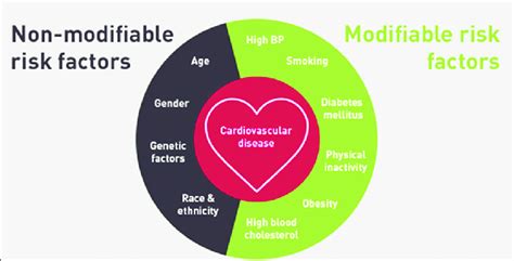 risk factors for disease Risk factors heart disease infographic embed ...