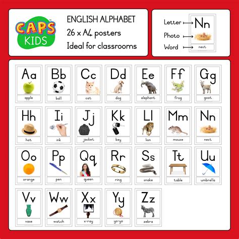 26 x A4 Posters – English alphabet with words (PDF) - Teacha!