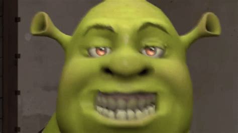 Shrek Smile GIF - Shrek Smile Fake - Descubre y comparte GIF