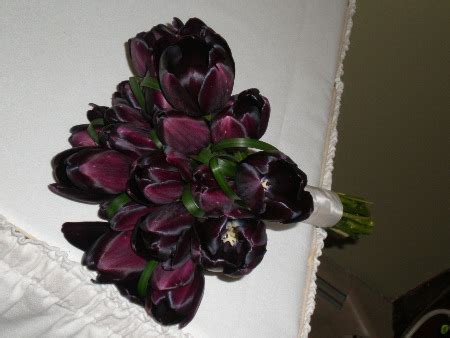 Bouquet Bridal: Purple Tulips Bouquet Ideas