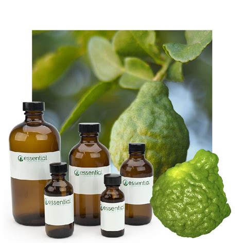 Bergamot Essential Oil - Buy Bulk | Essential Wholesale – Essential Labs