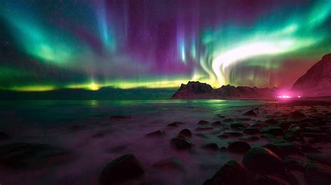 Northern Lights Norway 2024 Live - Drucy Giralda