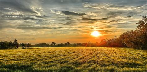 Sunset Field Wallpapers - Wallpaper Cave