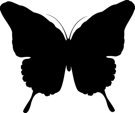 Butterfly Silhouette PNG - ClipArt Best