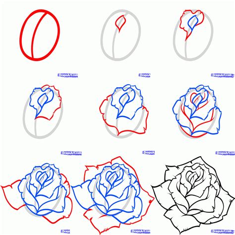 Rose Flower Drawing Easy Step By Step – Idalias Salon