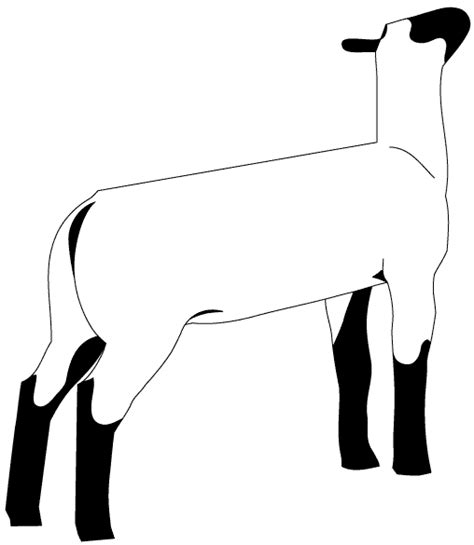 Free Show Sheep Silhouette, Download Free Show Sheep Silhouette png ...