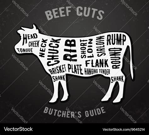 Butcher guide beef cuts Royalty Free Vector Image