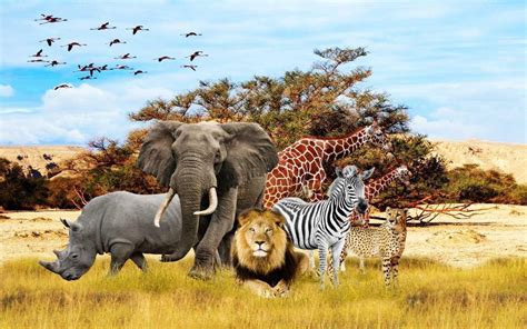 Safari Animal Wallpaper (60+ images)