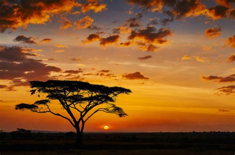 African Sunset Images – Browse 106,540 Stock Photos, Vectors, and Video | Adobe Stock