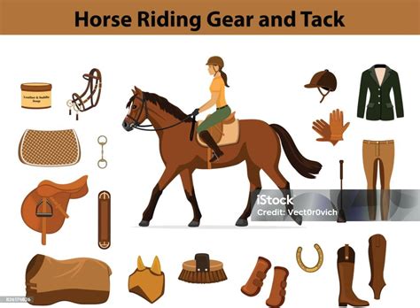 Equestrian Sport Equipment Set Horse Riding Gear And Tack Accessories Stock Illustration ...