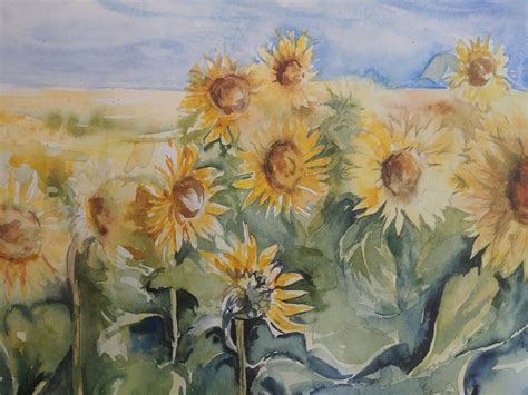 Kansas Sunflowers Sunflower Field in Bloom Yellow Sunflowers Original Watercolor Painting Fine ...