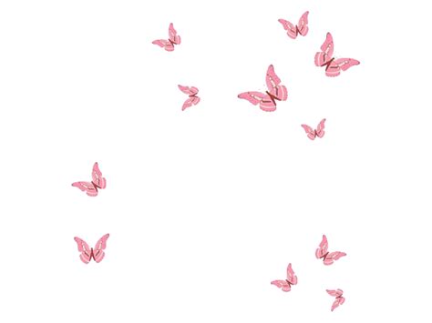 Transparent Butterfly Wallpapers - Top Free Transparent Butterfly Backgrounds - WallpaperAccess