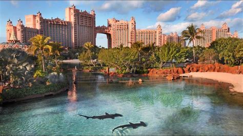 Atlantis Aquarium - Paradise Island, Bahamas 3 - YouTube