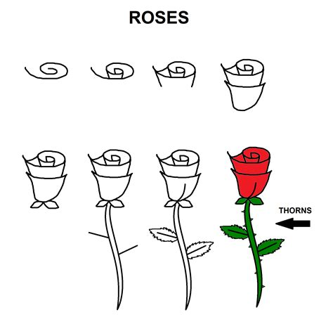 Easy To Draw Rose Step By Step at Drawing Tutorials