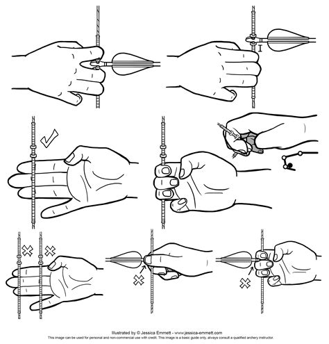 Archery Basics – Illustrated | Bahamas Archery