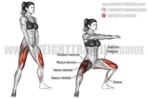 Plié Dumbbell Squat Knee, Knee, Vertebral Column,, 47% OFF