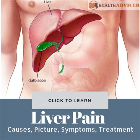 Liver Pain: Causes, Location, Symptoms, Diagnosis And Treatment