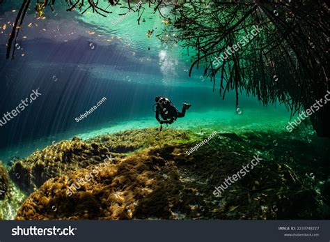 1,474 Tulum Diving Images, Stock Photos, 3D objects, & Vectors | Shutterstock