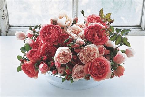 Growing English Garden Roses - Flower Magazine