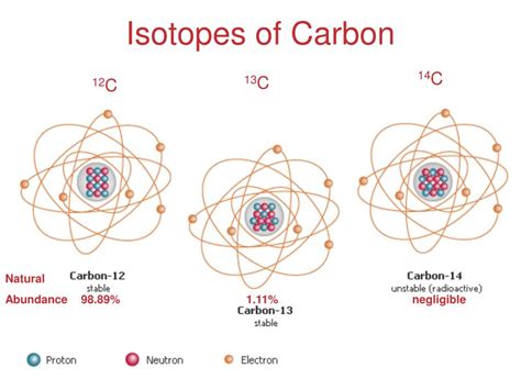 Carbon Isotopes Diagram