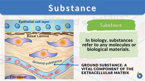 Substance - Definition and Examples - Biology Online Dictionary