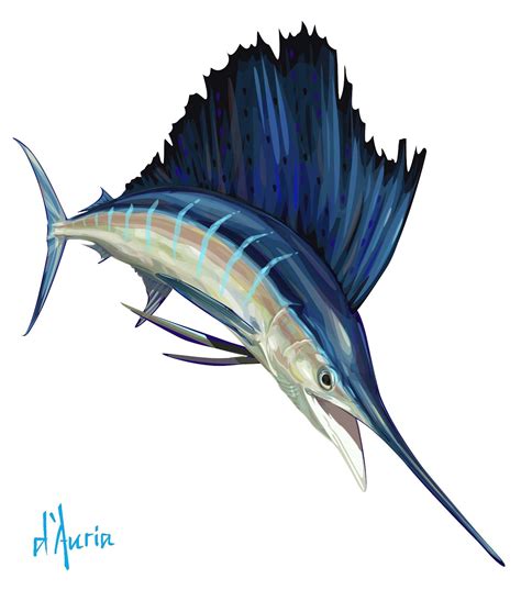 Sailfish | Fish art, Fish drawings, Fish painting