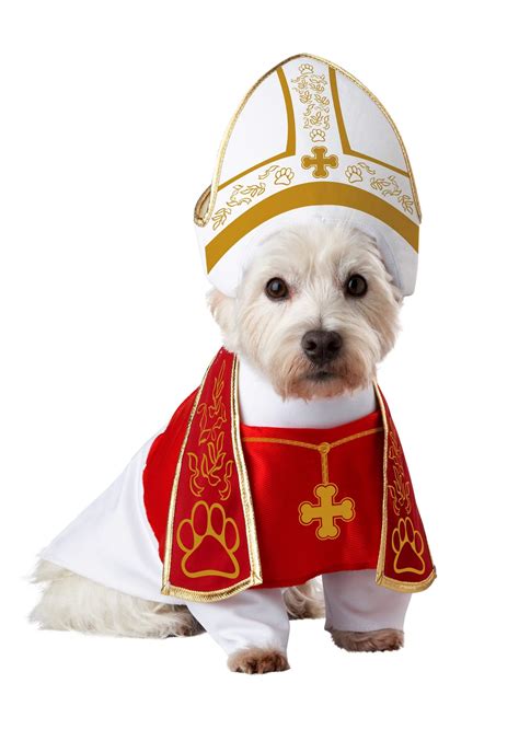 Holy Hound Pet CostumeB00CBMX1UQ | Encarguelo.com.ve