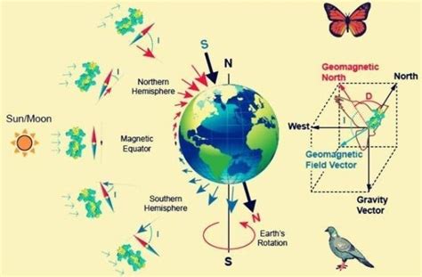 10 Examples Of Quantum Physics In Everyday Life – StudiousGuy