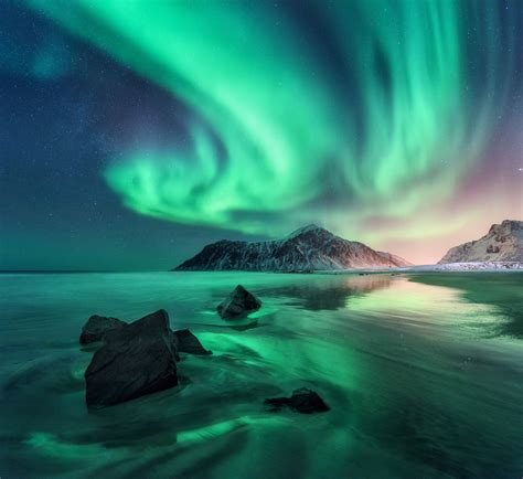 Aurora. Northern lights in Lofoten islands, Norway. Sky with polar lights, stars. Night winter ...