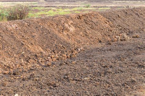 Surface of pile of loamy soil. 7519730 Stock Photo at Vecteezy