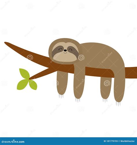 Sloth Hanging on Tree Branch Leaf. Cute Cartoon Kawaii Funny Lazy Baby Character. Wild Joungle ...