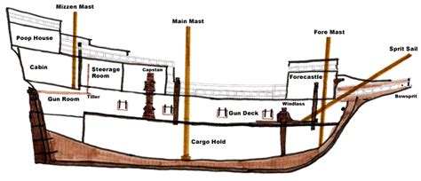 Cross-Section — MayflowerHistory.com