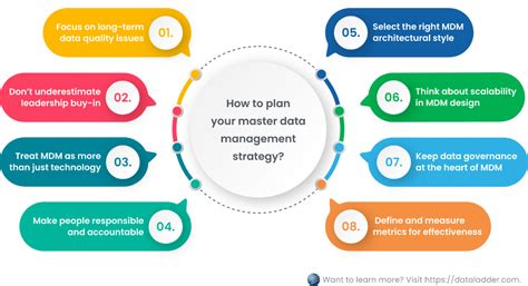 A Guide to Master Data Management - Data Ladder