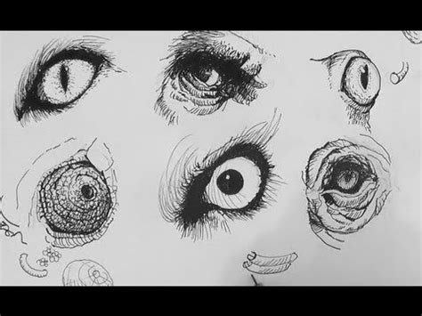 Animal Eyes Drawing Easy