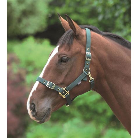 Adjustable Headcollar - Country Lifestyle