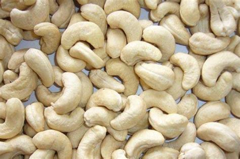 Cashew Kernels | Eximcan