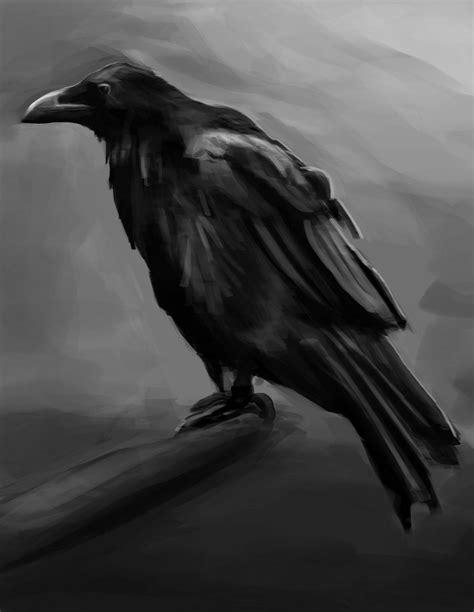 Raven by kookri on DeviantArt